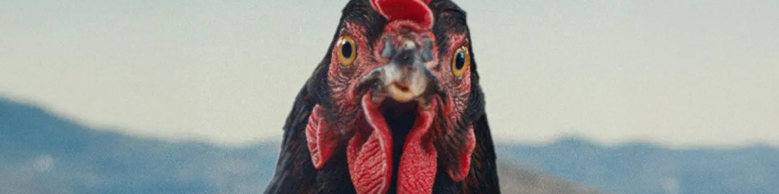 Hen